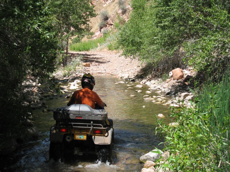 image0038 Ron crosses the stream