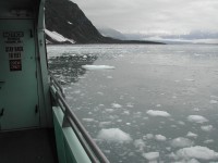 DSCN2290 Glacier Cruise