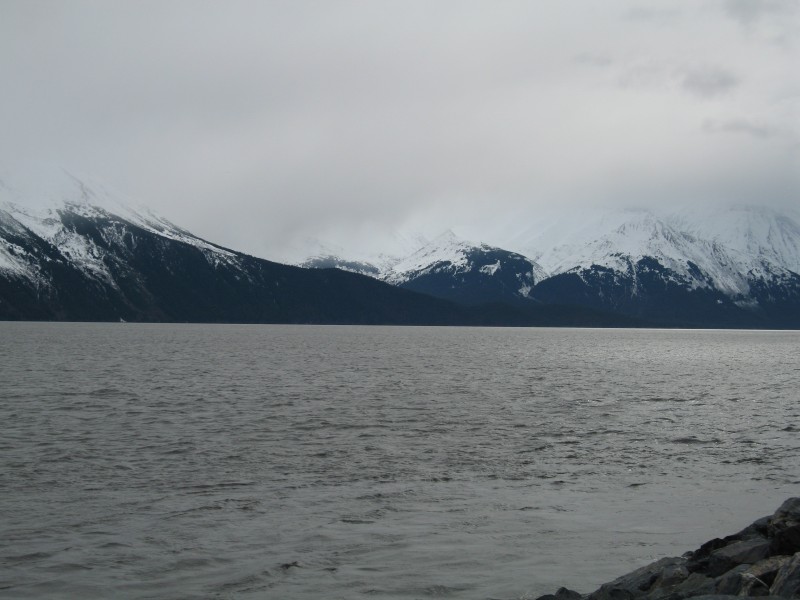 IMG_0030 Turnagain Inlet