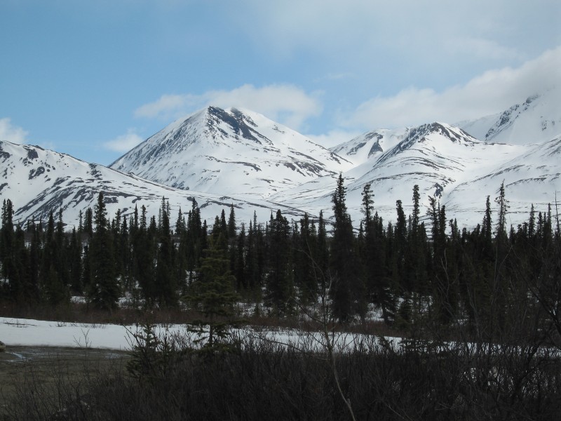 IMG_0088 Hiking near Denali