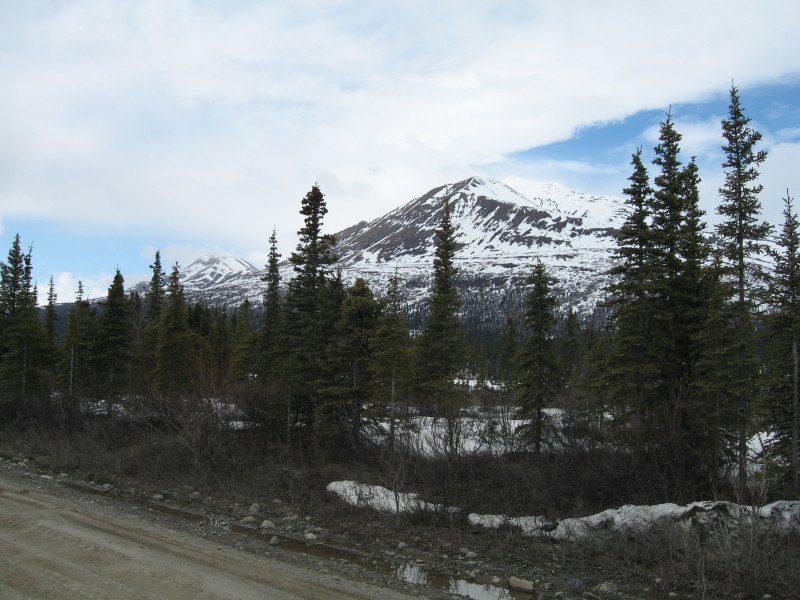 IMG_0090 Highway Near Denali