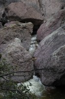 DSC_0110 Catwalk Whitewater Canyon