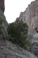 DSC_0126 Catwalk Whitewater Canyon