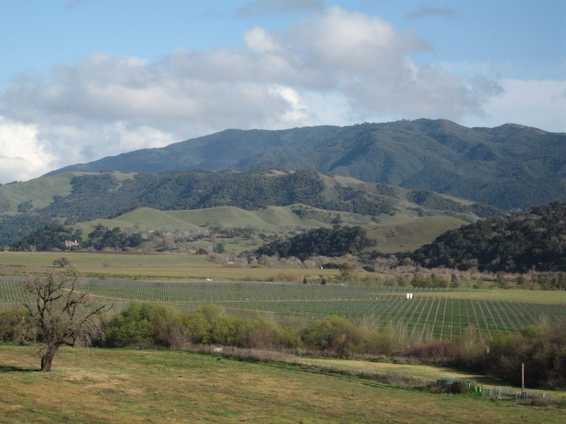 IMG_0179 View from Mission Santa Ines